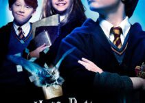 Harry Potter a l ecole des sorciers