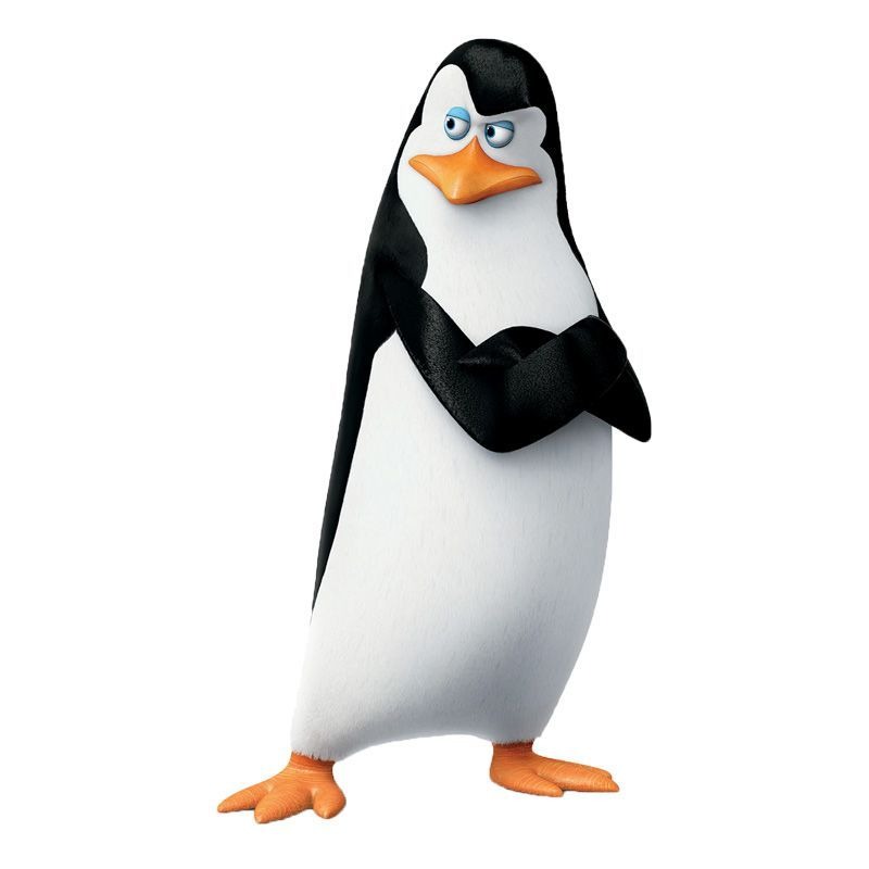 KOWALSKI LE PINGOUIN Madagascar 1