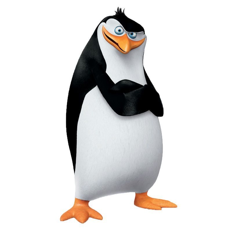 RICO LE PINGOUIN Madagascar 2